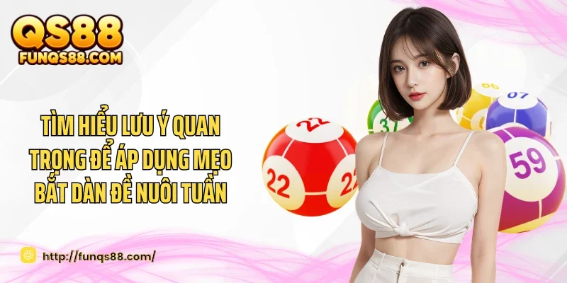 Tìm hiểu lưu ý quan trọng để áp dụng mẹo bắt dàn đề nuôi tuần